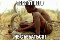 тебе от него не съебаться!