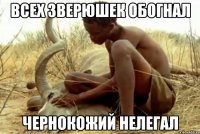 всех зверюшек обогнал чернокожий нелегал