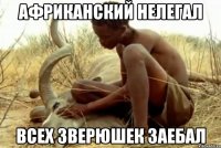 африканский нелегал всех зверюшек заебал