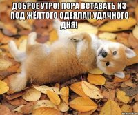 доброе утро! пора вставать из под жёлтого одеяла!! удачного дня! 
