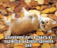  доброе утро! пора вставать из под жёлтого одеяла!! удачного дня!