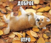доброе утро