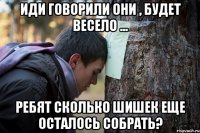 иди говорили они , будет весело ... ребят сколько шишек еще осталось собрать?