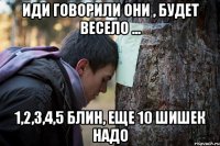 иди говорили они , будет весело ... 1,2,3,4,5 блин, еще 10 шишек надо