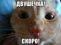 двушечка! скоро!