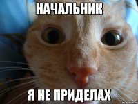 начальник я не приделах