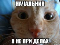 начальник я не при делах