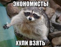 экономисты хули взять