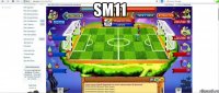 sm11 