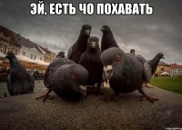 эй, есть чо похавать 