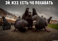 эй, нээ, есть чо похавать 