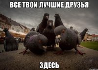 все твои лучшие друзья здесь