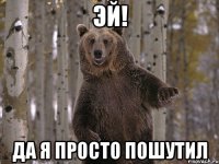 эй! да я просто пошутил