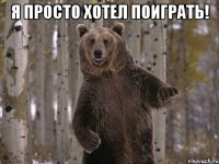 я просто хотел поиграть! 
