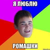 я люблю ромашки