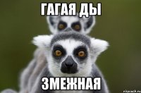 гагая ды змежная