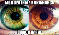 мои зеленые влюбились в твои карие