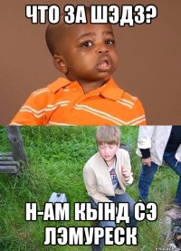 что за шэдз? н-ам кынд сэ лэмуреск