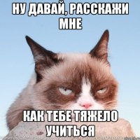 ну давай, расскажи мне как тебе тяжело учиться