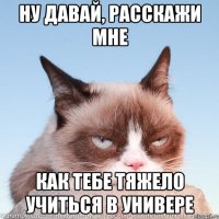 ну давай, расскажи мне как тебе тяжело учиться в универе