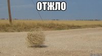 отжло 