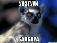 уозгууй балбара