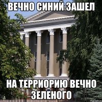 вечно синий зашел на терриорию вечно зеленого