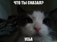 что ты сказал? уеба