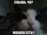слышь, чо? мобила есть?