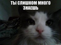 ты слишком много знаешь 