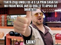 toată ziua umbli de-a s*la prin casă sh nu fashi nică, iar la ora 12 te apuci de învătat? laik!