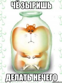 чё зыришь делать нечего