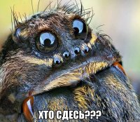  хто сдесь???