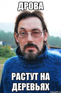 дрова растут на деревьях