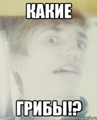 какие грибы!?