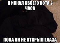 я искал своего кота 2 часа пока он не открыл глаза