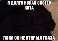 я долго искал своего кота пока он не открыл глаза
