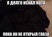 я долго искал кота пока он не открыл глаза