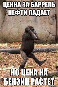 ценна за баррель нефти падает но цена на бензин растет