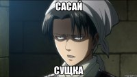 сасай сущка