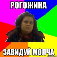 рогожина завидуй молча