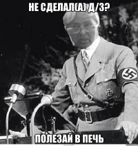 не сделал(а) д/з? полезай в печь