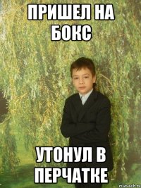 пришел на бокс утонул в перчатке