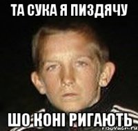 та сука я пиздячу шо коні ригають