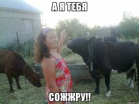 а я тебя сожжру!!