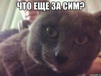 что еще за сим? 