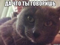 да что ты говоришь 