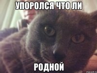 упоролся что ли родной