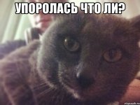 упоролась что ли? 
