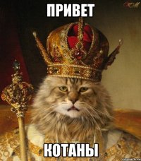 привет котаны